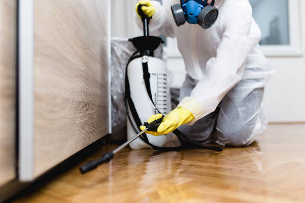 Best Best Pest Control Companies  in Watertown, NY