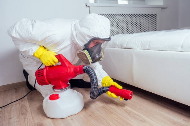 Best Affordable Pest Control Services  in Watertown, NY