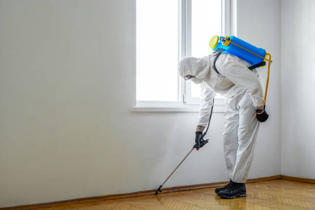 Reliable Watertown, NY Pest Control Solutions